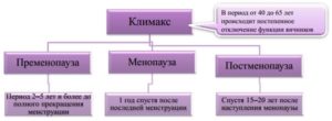 Как долго длится климакс