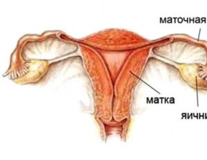 Удалили матку и трубы оставили яичники последствия