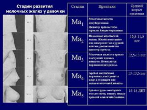 Когда у девочек начинает расти молочные железы