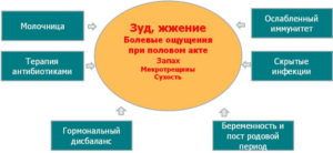 Зуд и жжение в интимной зоне у женщин как лечить при климаксе