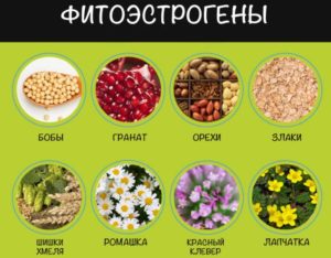 Продукты содержащие эстрогены для женщин при климаксе