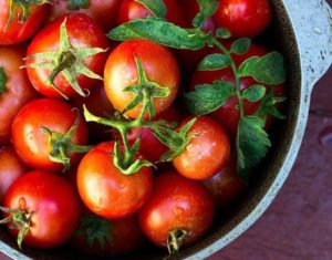 Почему нельзя есть помидоры при миоме