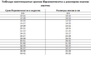 Размеры миомы матки в мм и в неделях таблица