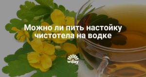 Настойка чистотела на водке рецепт и применение при миоме