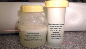 Зависит ли количество молока от размера молочной железы