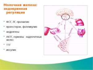 Гормоны молочной железы