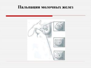 Алгоритм осмотр и пальпация молочных желез