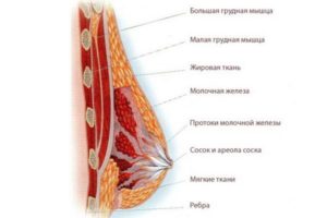 Боль в молочной железе слева у женщин после 50 лет