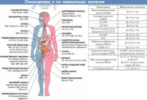 Какой онкомаркер показывает рак молочной железы