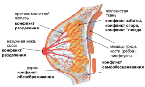 Психосоматика фиброаденома молочной железы