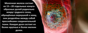 Онкомаркер молочной железы са 15 3 расшифровка