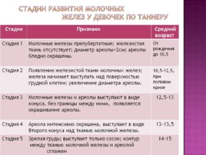 Во сколько лет начинает расти молочные железы