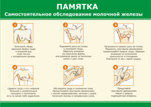 Как ощупать молочные железы