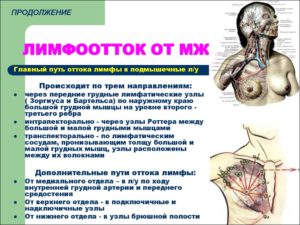 Аксиллярная лимфаденопатия молочной железы что это такое