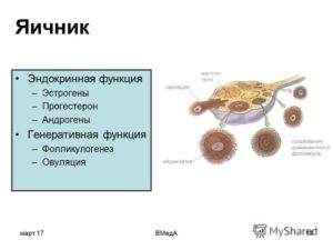 Нарушение гормональной функции яичников