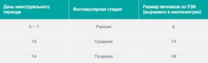 Размеры яичников в норме у женщин по узи при менопаузе