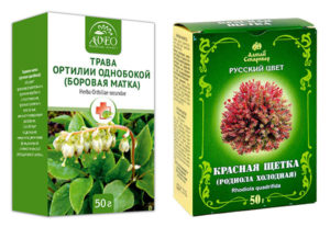 Лечение эндометриоза народными средствами боровой маткой и красной щеткой