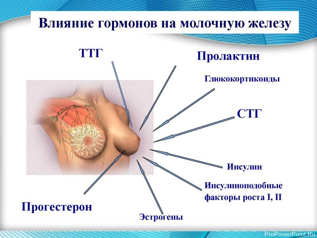 Гормоны для увеличения молочной железы