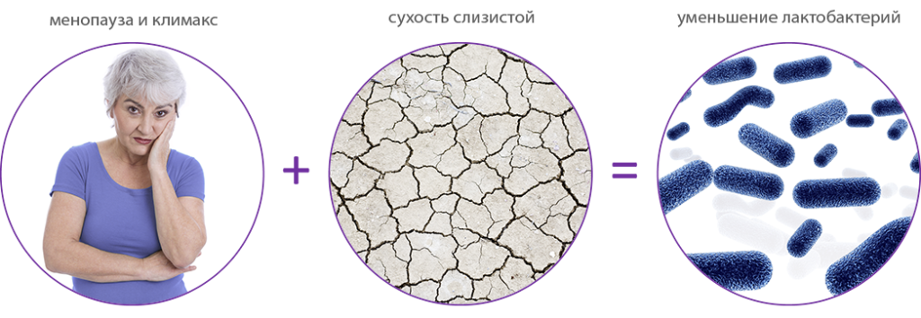 Сухость влагалища климакс