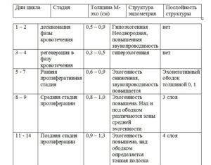 М эхо матки норма при климаксе