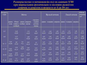 Нормальные размеры яичников и матки