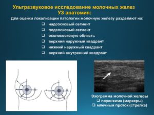 Исследование молочных желез