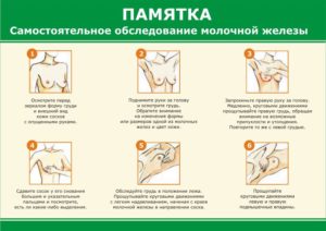 Как правильно обследовать молочные железы